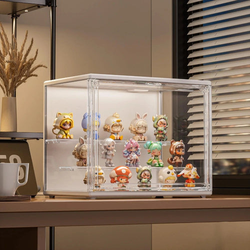 Vitrine sous licence Collect-Icon, vue principale